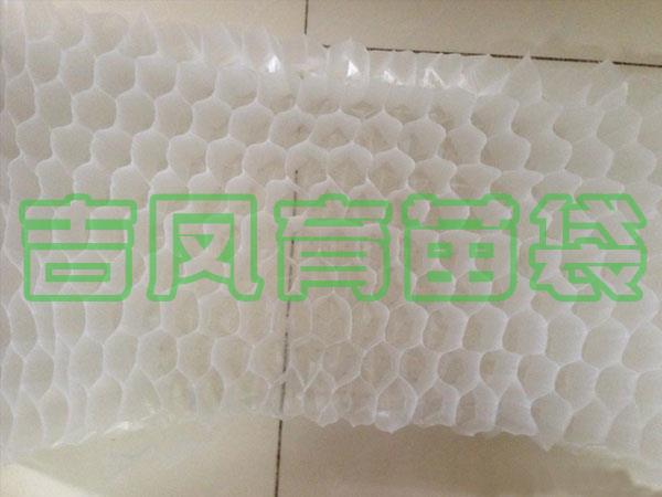 蜂窝育苗袋