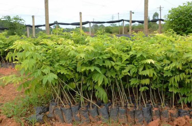 微信图片_20180613145250