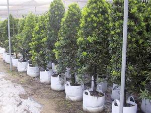 浙江某苗木种植基地