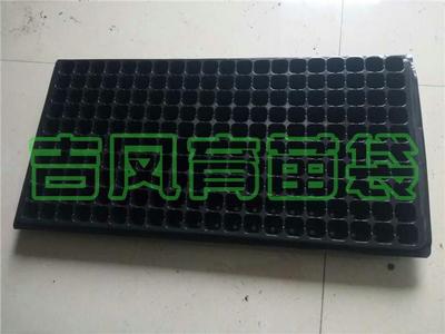 育苗盘