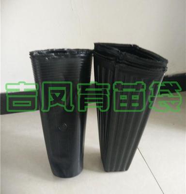 育苗杯