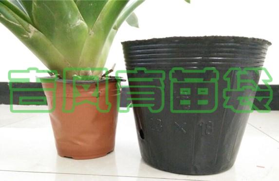 育苗杯