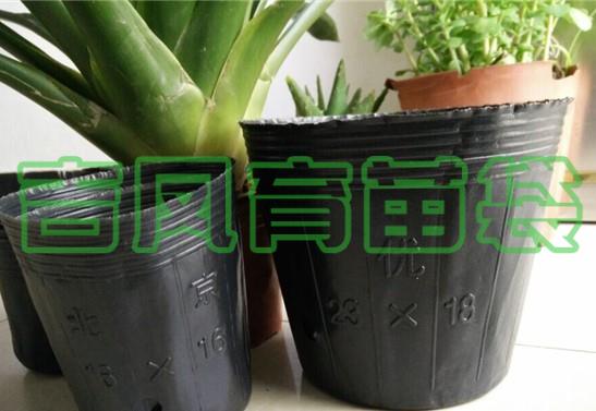 育苗杯