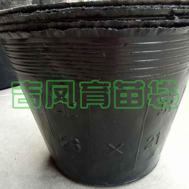 育苗杯
